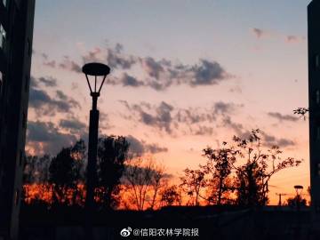 生肖解讀“今期生肖談事情”最精準(zhǔn)一肖決策資料